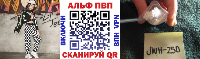 Альфа ПВП СК КРИС Рубцовск