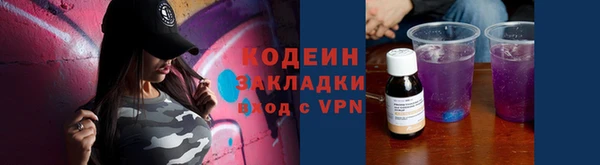крисы Лабытнанги
