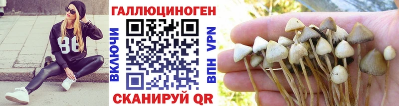 Псилоцибиновые грибы MAGIC MUSHROOMS  ОМГ ОМГ как войти  Рубцовск  закладки 