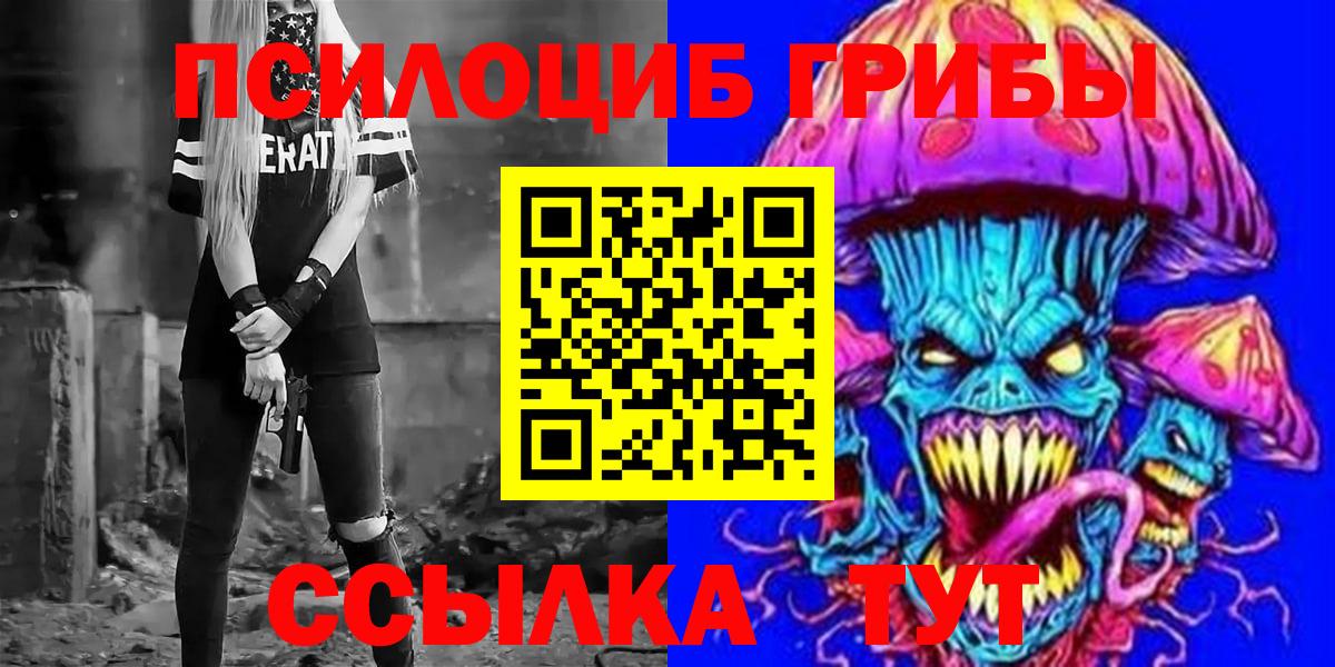 Псилоцибиновые грибы Psilocybe  Псилоцибиновые грибы GOLDEN TEACHER  Рубцовск 