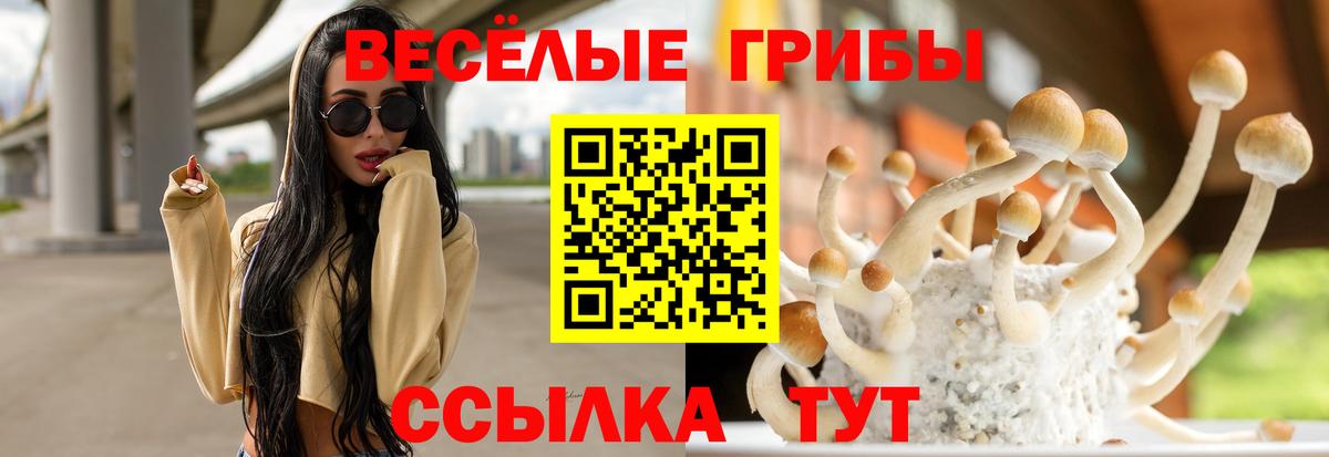Рубцовск  Псилоцибиновые грибы ЛСД  Вход с VPN  Псилоцибиновые грибы Cubensis 